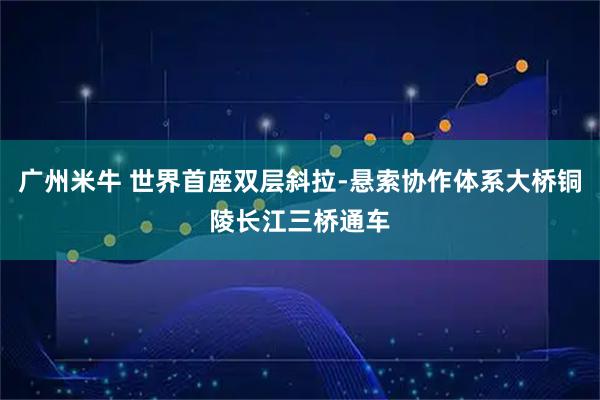 广州米牛 世界首座双层斜拉-悬索协作体系大桥铜陵长江三桥通车